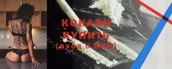 дживик Гусев